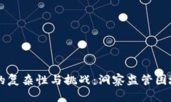 区块链监管的复杂性与挑战：洞察监管困境的多