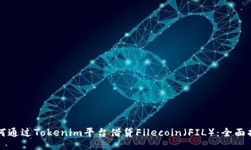 如何通过Tokenim平台借贷Filecoin（FIL）：全面指南