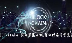如何参与 Tokenim 国内苹果内测：详细指南与常见