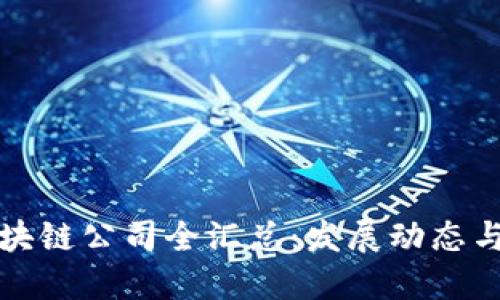 中贸区区块链公司全汇总：发展动态与投资机会