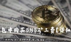 如何在TP钱包中购买BNB矿工费？详细指南和技巧