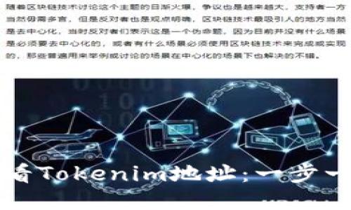 如何查看Tokenim地址：一步一步指南