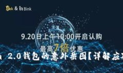 如何处理Tokenim 2.0钱包的意外截图？详解应对措施