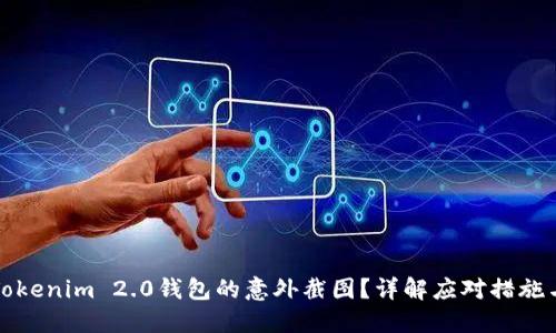 如何处理Tokenim 2.0钱包的意外截图？详解应对措施与安全管理