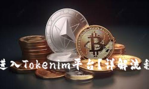 如何将代币进入Tokenim平台？详解流程与注意事项