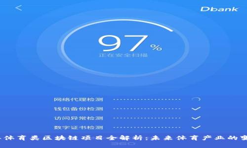 2023年体育类区块链项目全解析：未来体育产业的变革之路