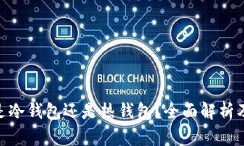 Tokenim是冷钱包还是热钱包？全面解析及使用指南