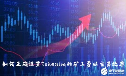 如何正确设置Tokenim的矿工费以交易效率