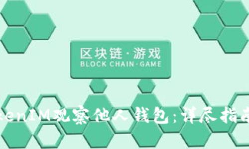 如何使用TokenIM观察他人钱包:详尽指南与实用技巧