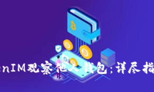 如何使用TokenIM观察他人钱包：详尽指南与实用技巧