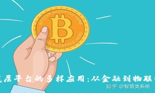探索区块链底层平台的多样应用：从金融到物联网的无缝连接