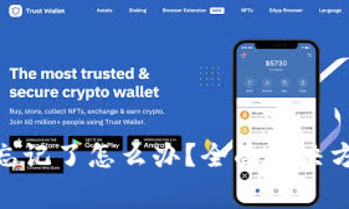 Tokenim2.0 私匙忘记了怎么办？全面解决方案与常见问题解析