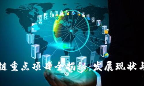 上海区块链重点项目全揭秘：发展现状与未来前景
