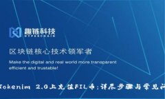 如何在Tokenim 2.0上充值FIL币：详尽步骤与常见问题