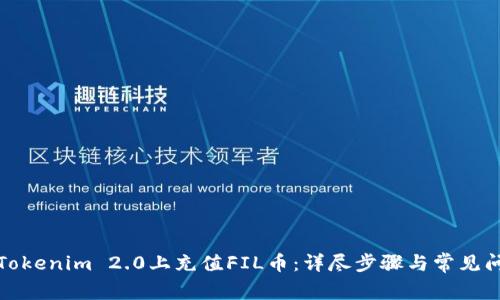 如何在Tokenim 2.0上充值FIL币：详尽步骤与常见问题解答