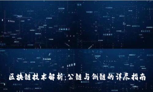 区块链技术解析：公链与侧链的详尽指南