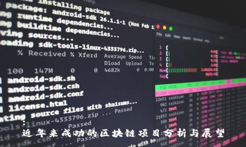 :
近年来成功的区块链项目分析与展望