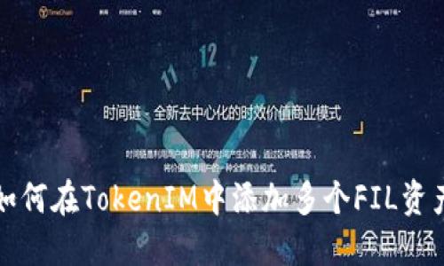 如何在TokenIM中添加多个FIL资产
