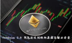 Tokenim 2.0 钱包延迟到账的原因及解决方案
