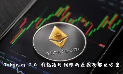 Tokenim 2.0 钱包延迟到账的原因及解决方案