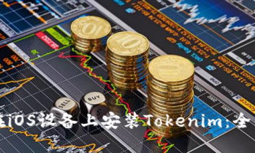 如何在iOS设备上安装Tokenim：全面指南
