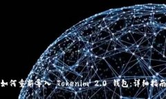 如何重新导入 Tokenim 2.0 钱包：详细指南