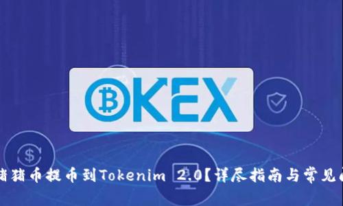 如何将猪猪币提币到Tokenim 2.0？详尽指南与常见问题解析