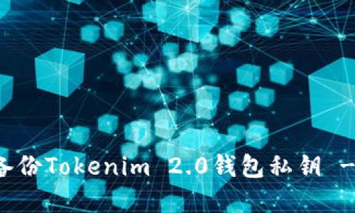 如何安全备份Tokenim 2.0钱包私钥 - 完整指南