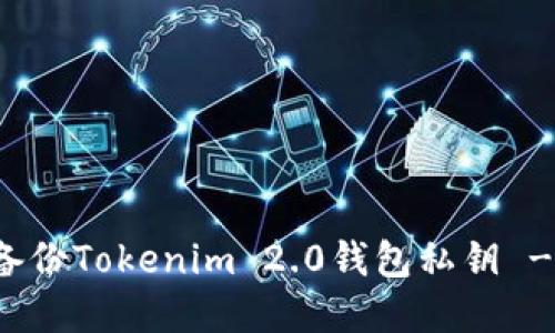 如何安全备份Tokenim 2.0钱包私钥 - 完整指南