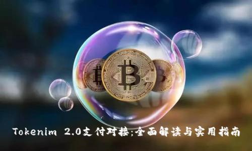 Tokenim 2.0支付对接：全面解读与实用指南