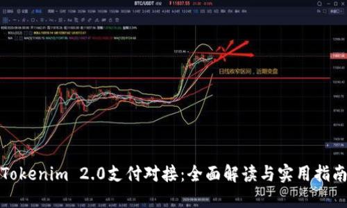 Tokenim 2.0支付对接：全面解读与实用指南