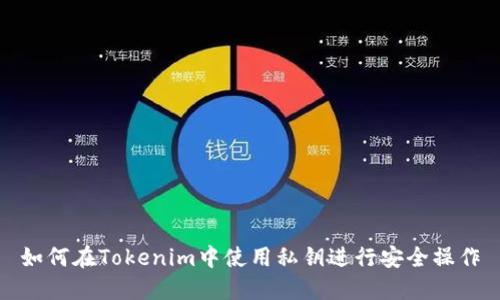 如何在Tokenim中使用私钥进行安全操作