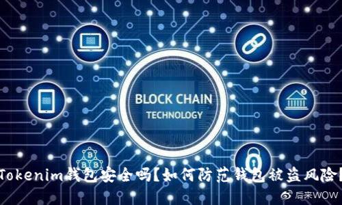 Tokenim钱包安全吗？如何防范钱包被盗风险？