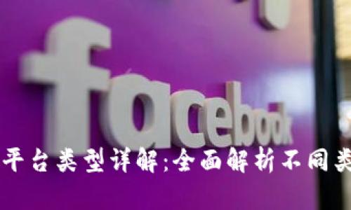 区块链支付平台类型详解：全面解析不同类型及其应用