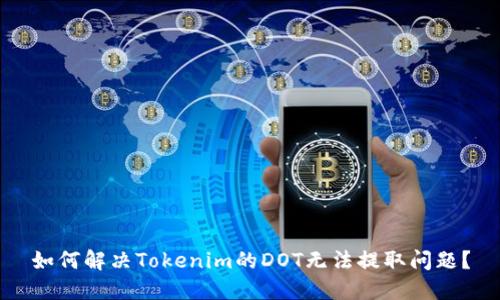 如何解决Tokenim的DOT无法提取问题？