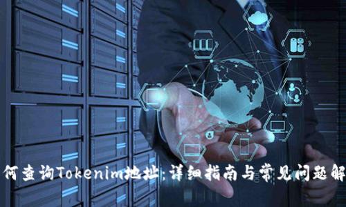 如何查询Tokenim地址：详细指南与常见问题解答