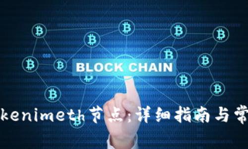 如何设置Tokenimeth节点：详细指南与常见问题解析