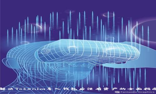 解决Tokenim导入钱包后没有资产的全面指南