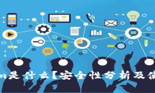 Tokenim是什么？安全性分析及使用指南