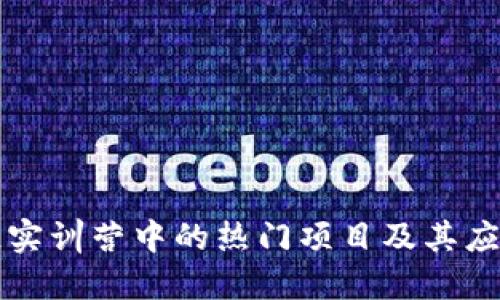 区块链实训营中的热门项目及其应用揭秘