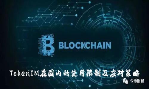 TokenIM在国内的使用限制及应对策略