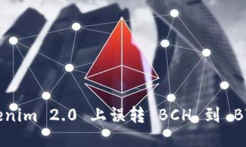 如何处理 Tokenim 2.0 上误转 BCH 到 BTC 的问题指南
