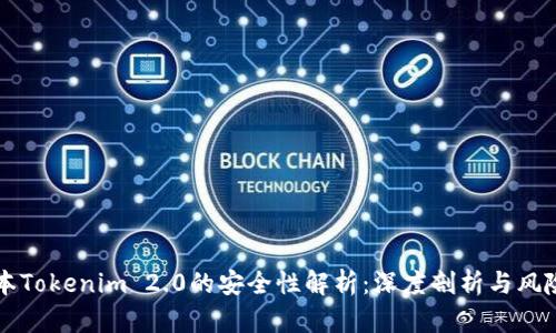 老版本Tokenim 2.0的安全性解析：深度剖析与风险防范