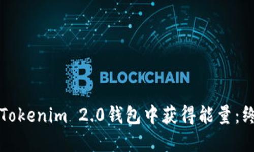 如何在Tokenim 2.0钱包中获得能量：终极指南