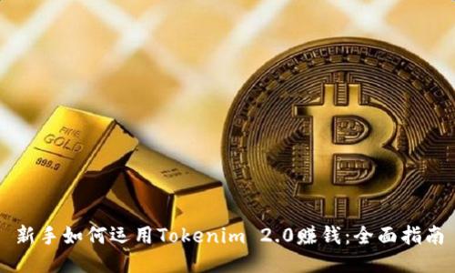 新手如何运用Tokenim 2.0赚钱：全面指南