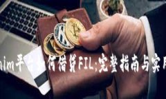 Tokenim平台如何借贷FIL：完整指南与实用技巧