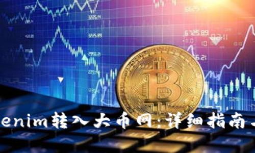 如何将tokenim转入大币网：详细指南与实用技巧