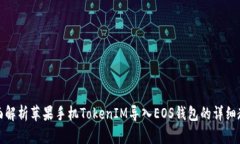 全面解析苹果手机TokenIM导入EOS钱包的详细教程