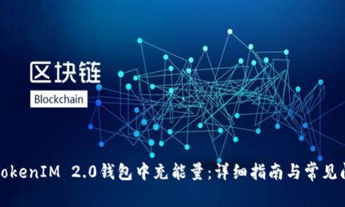 如何在TokenIM 2.0钱包中充能量：详细指南与常见问题解答