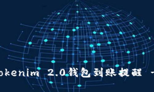如何设置Tokenim 2.0钱包到账提醒 - 完全指南